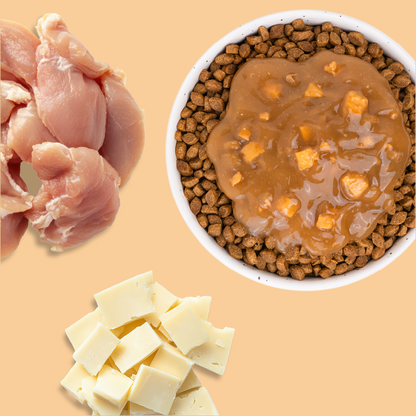 Sauce au poulet aromatisée au cheddar (Chat adulte)