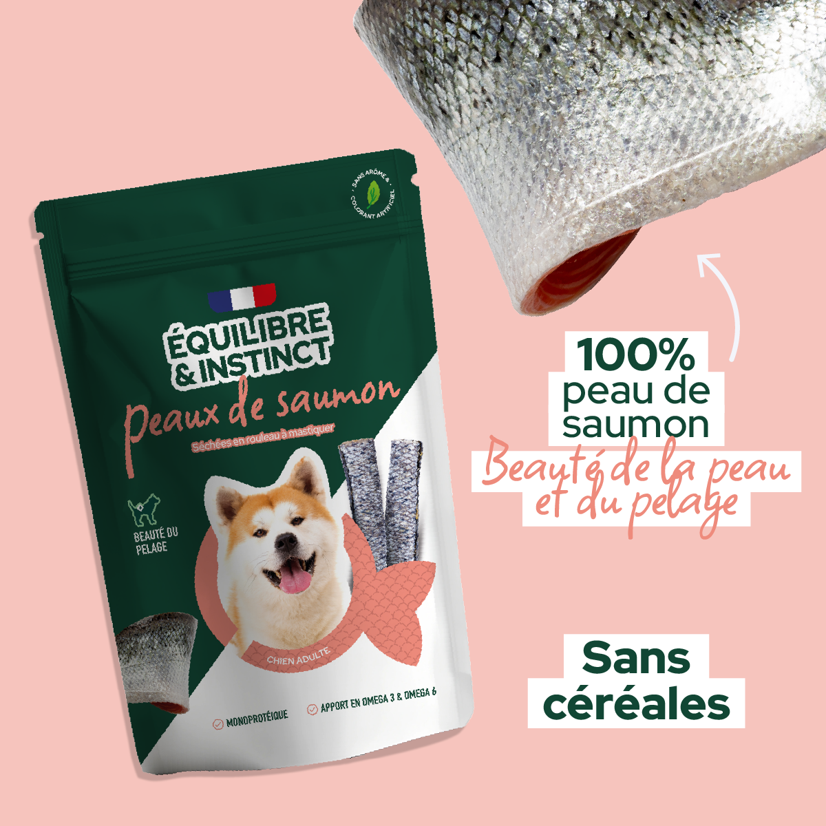 Friandises peaux de saumon (Chien adulte)