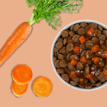 Sauce aux carottes (Chien adulte)
