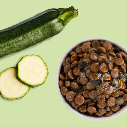Sauce aux courgettes (Chien adulte)