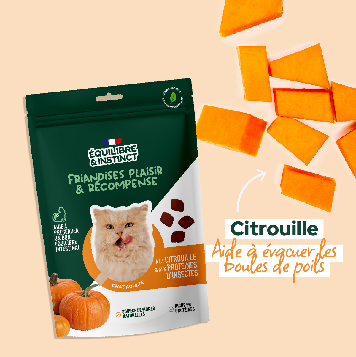 Friandises à la citrouille et aux protéines d'insectes (Chat adulte)