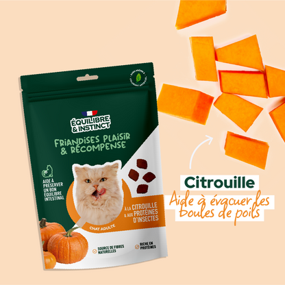 Friandises à la citrouille et aux protéines d'insectes (Chat adulte)