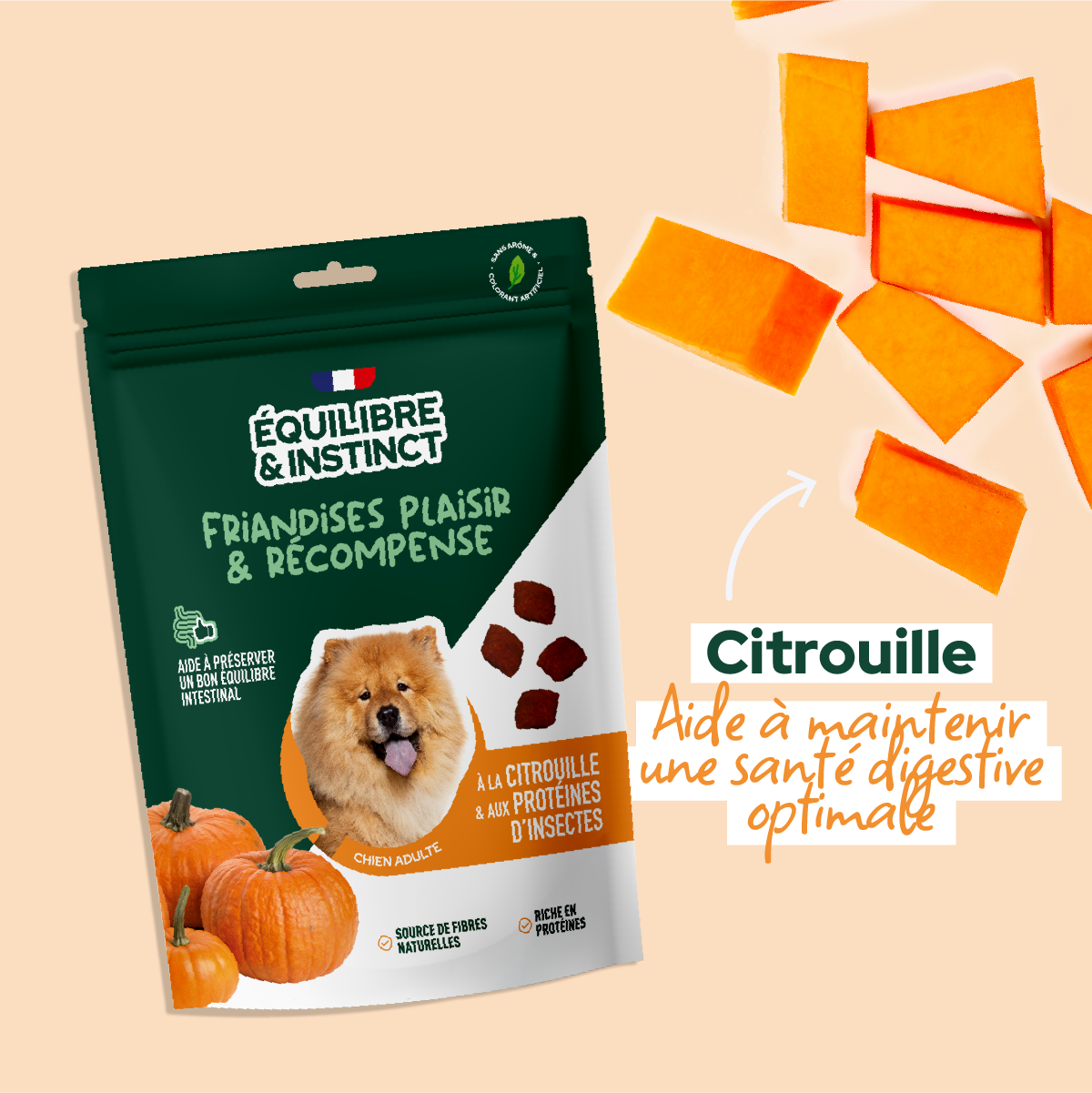 Friandises à la citrouille et aux protéines d'insectes (Chien adulte)