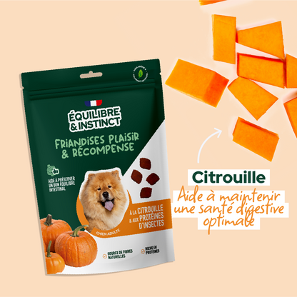 Friandises à la citrouille et aux protéines d'insectes (Chien adulte)
