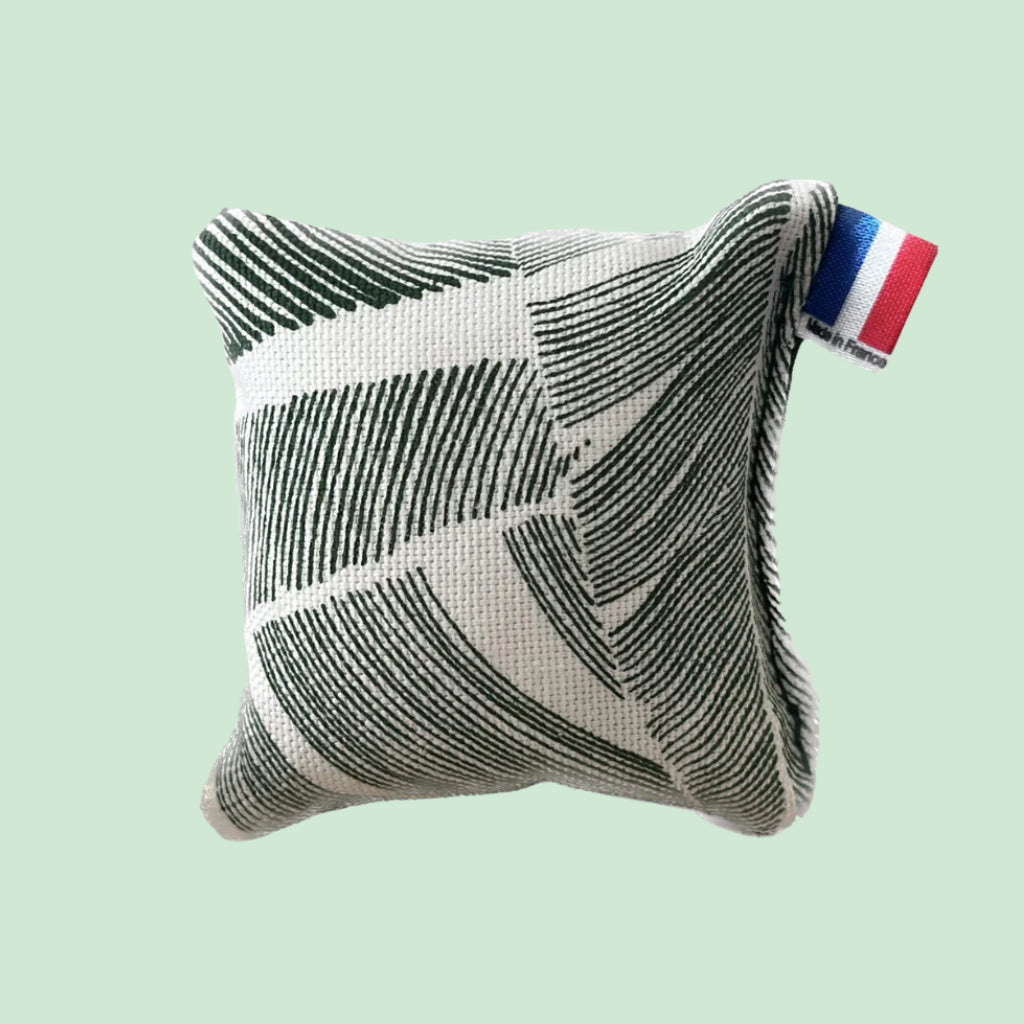 Mini-coussin d'herbe à chat (Chat)