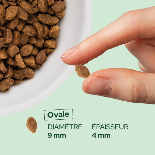 Croquettes de volaille riches en ingrédients frais (Chaton)
