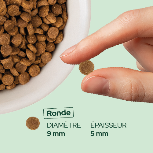 Croquettes de volaille riches en ingrédients frais (Chiot)