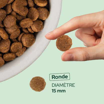 Échantillon de croquettes riches en volaille - Moy. / Grande taille (Chien adulte)