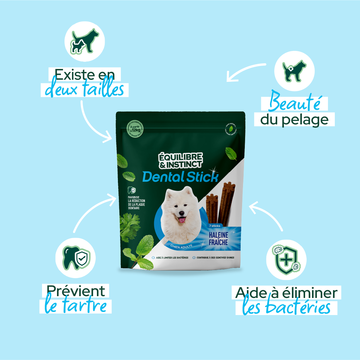 Stick dentaire Dental Stick - Moy. / Grande taille (Chien adulte)