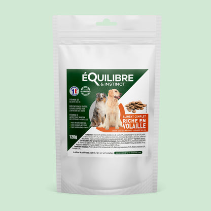 Échantillon de croquettes riches en volaille - Moy. / Grande taille (Chien adulte)