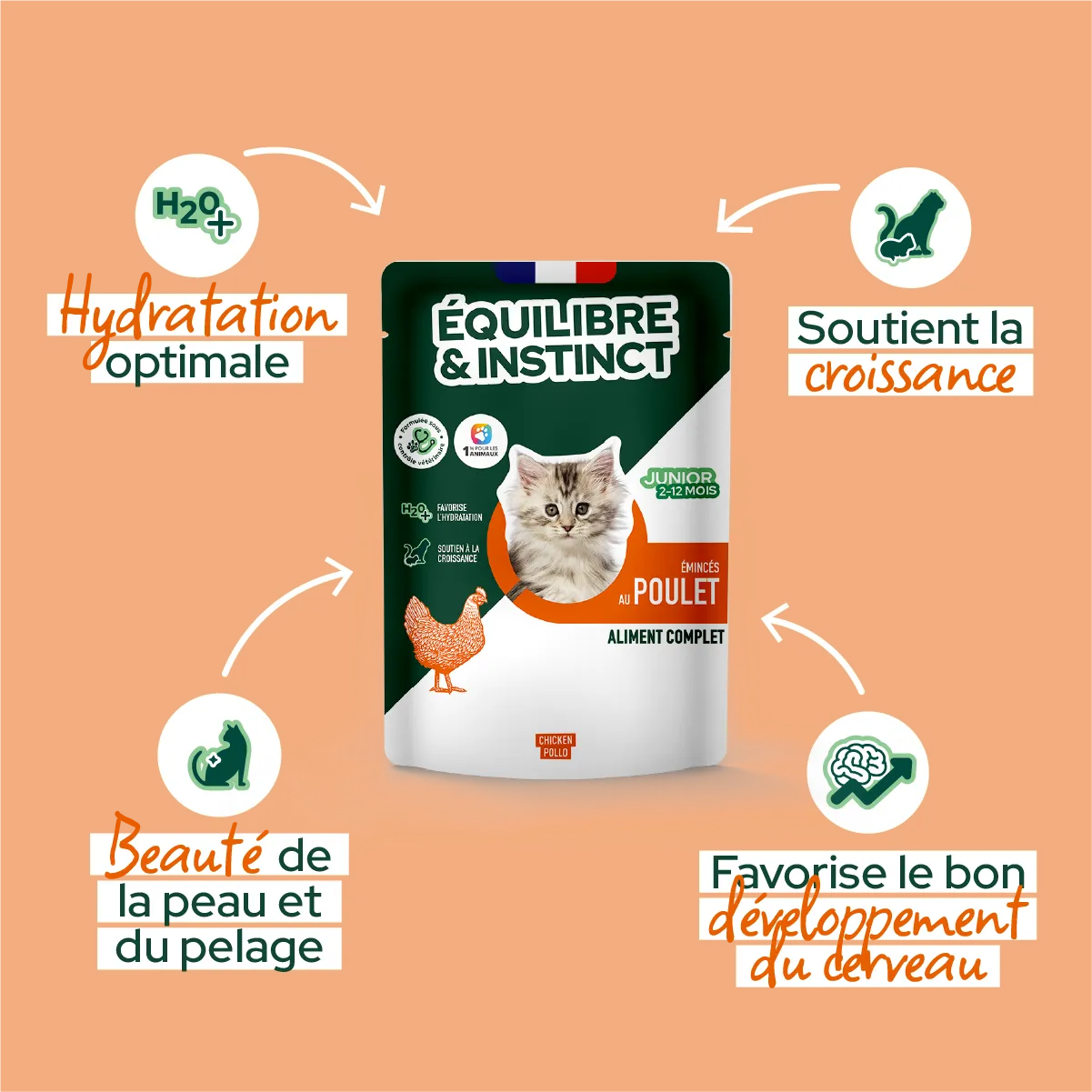 Émincés au poulet (Chaton)