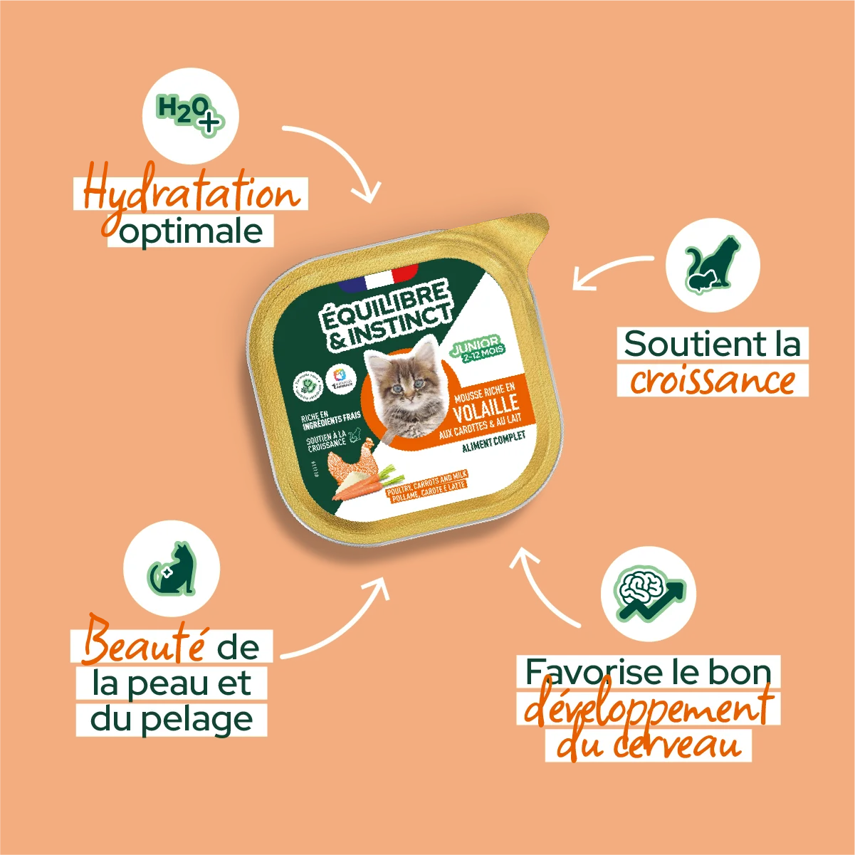 Mousses riches en volaille & aux carottes (Chaton)