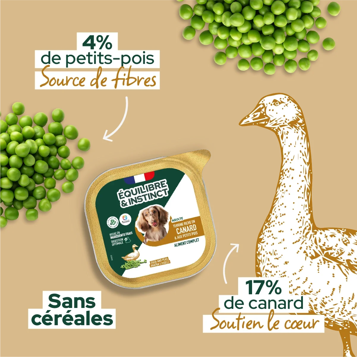 Pâtées riches en canard & aux petits pois (Chien adulte)