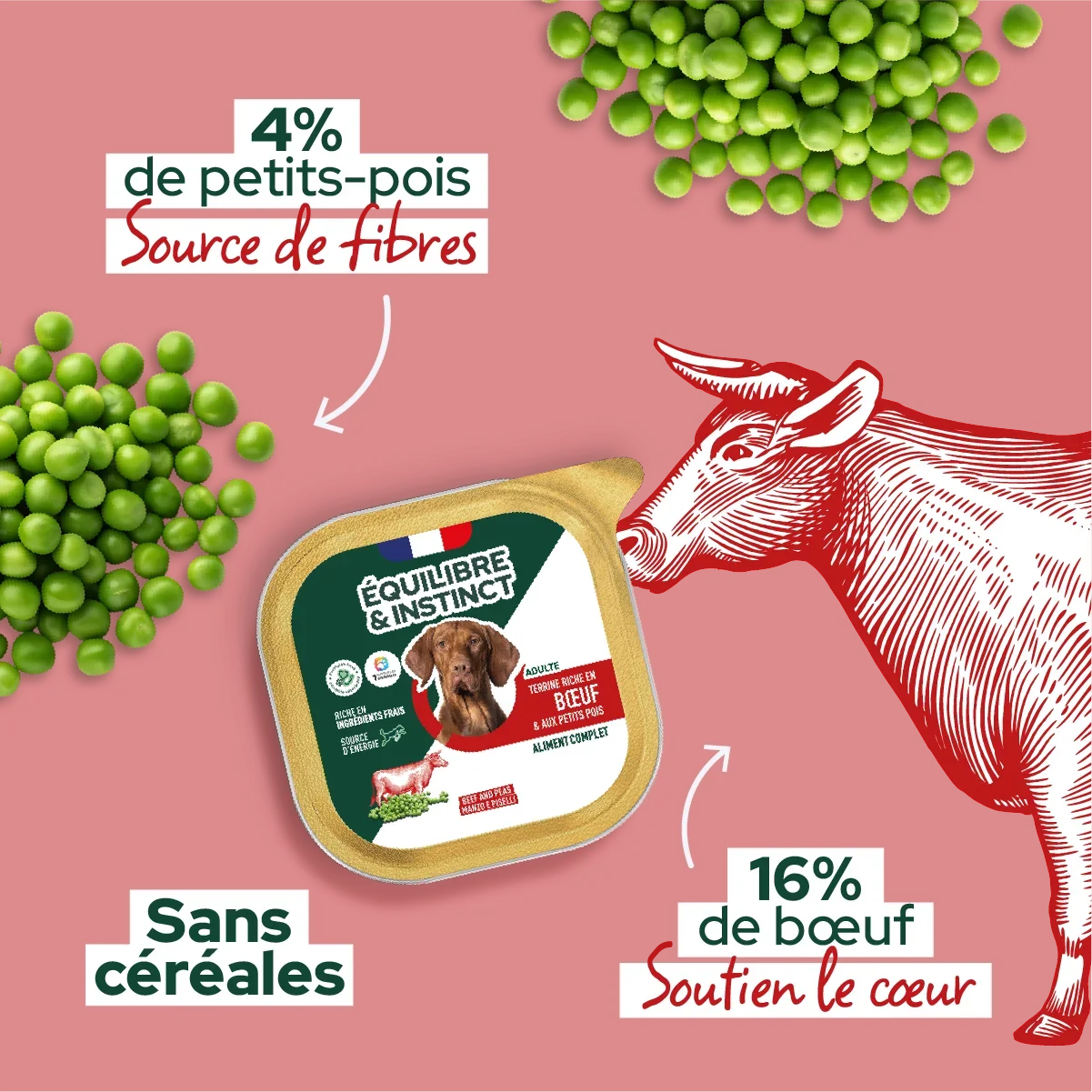 Pâtées riches en bœuf & aux petits pois (Chien adulte)