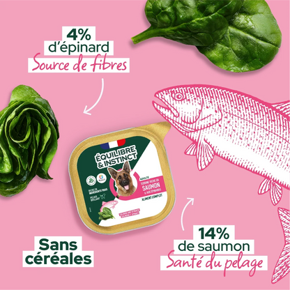 Pâtées riches en saumon & aux épinards (Chien adulte)