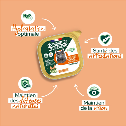 Pâtées riches en volaille & aux courgettes (Chat âgé)