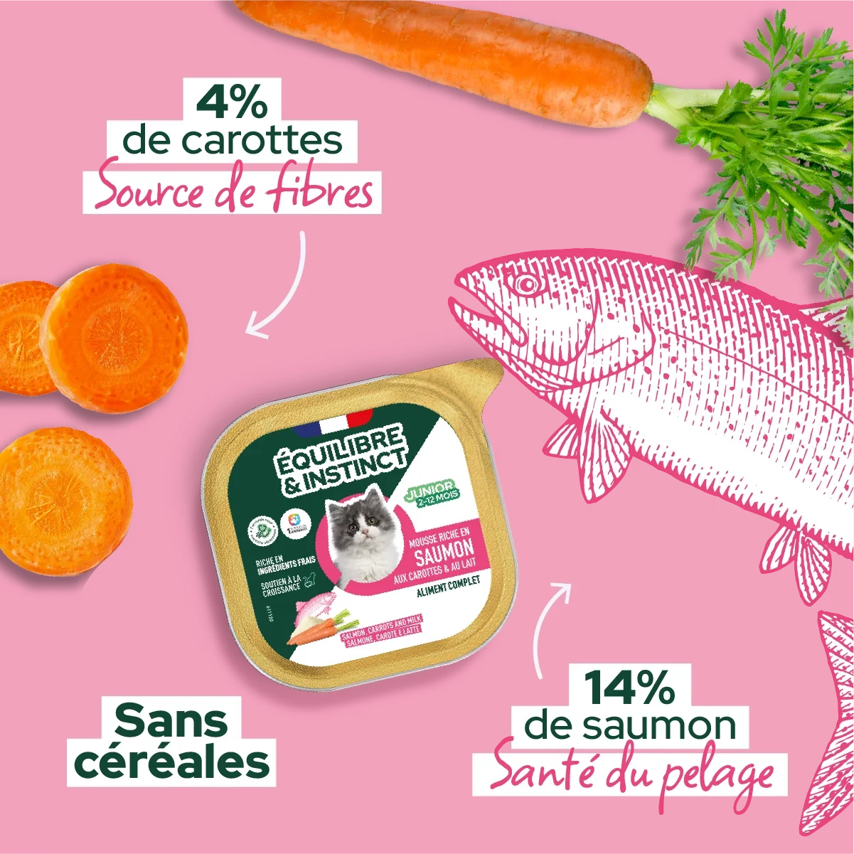 Mousses riches en saumon & aux carottes (Chaton)