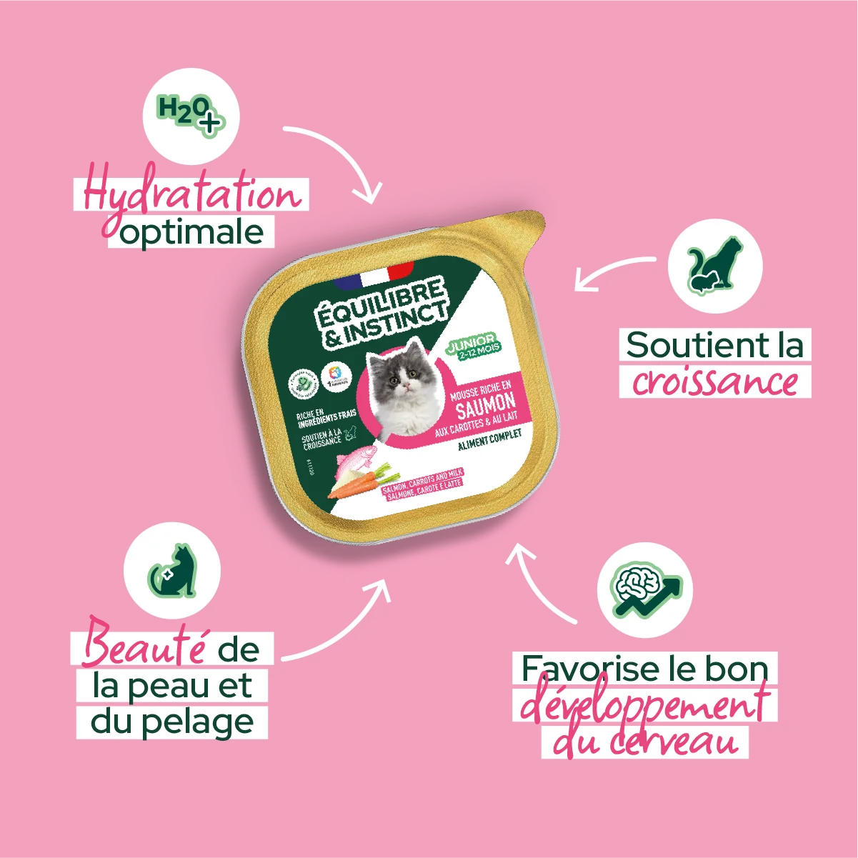 Mousses riches en saumon & aux carottes (Chaton)