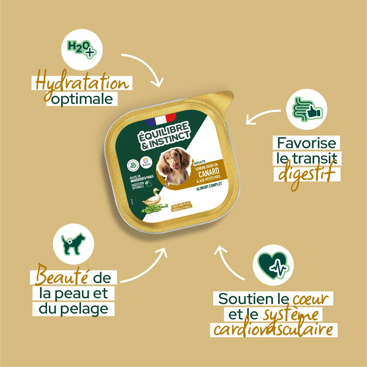 Pâtées riches en canard & aux petits pois (Chien adulte)