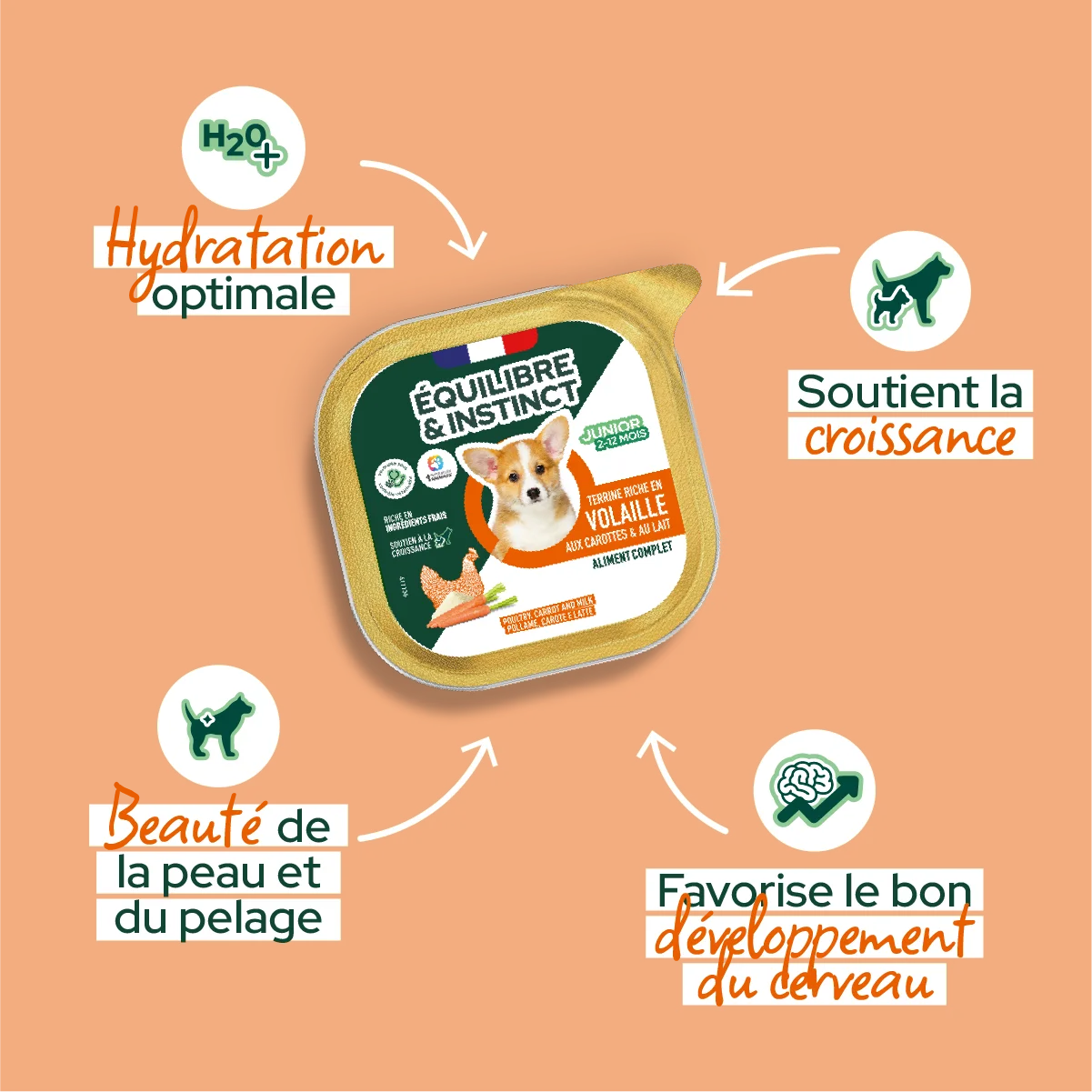 Pâtées riches en volaille & aux carottes - Petite taille (Chiot)