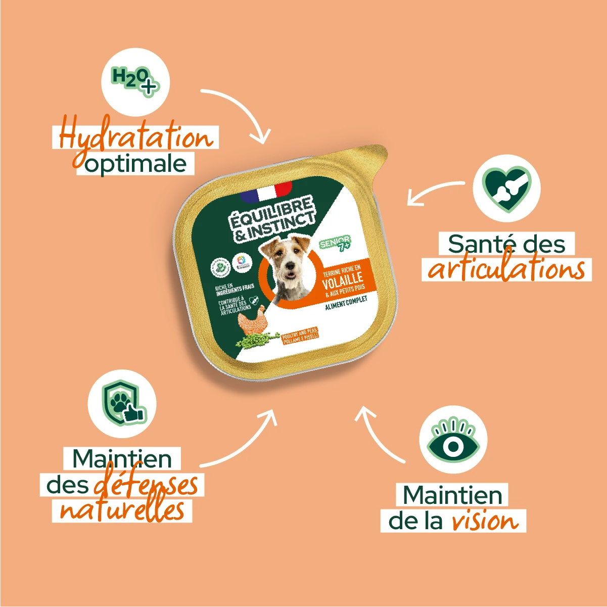 Pâtées riches en volaille & aux petits pois (Chien âgé)