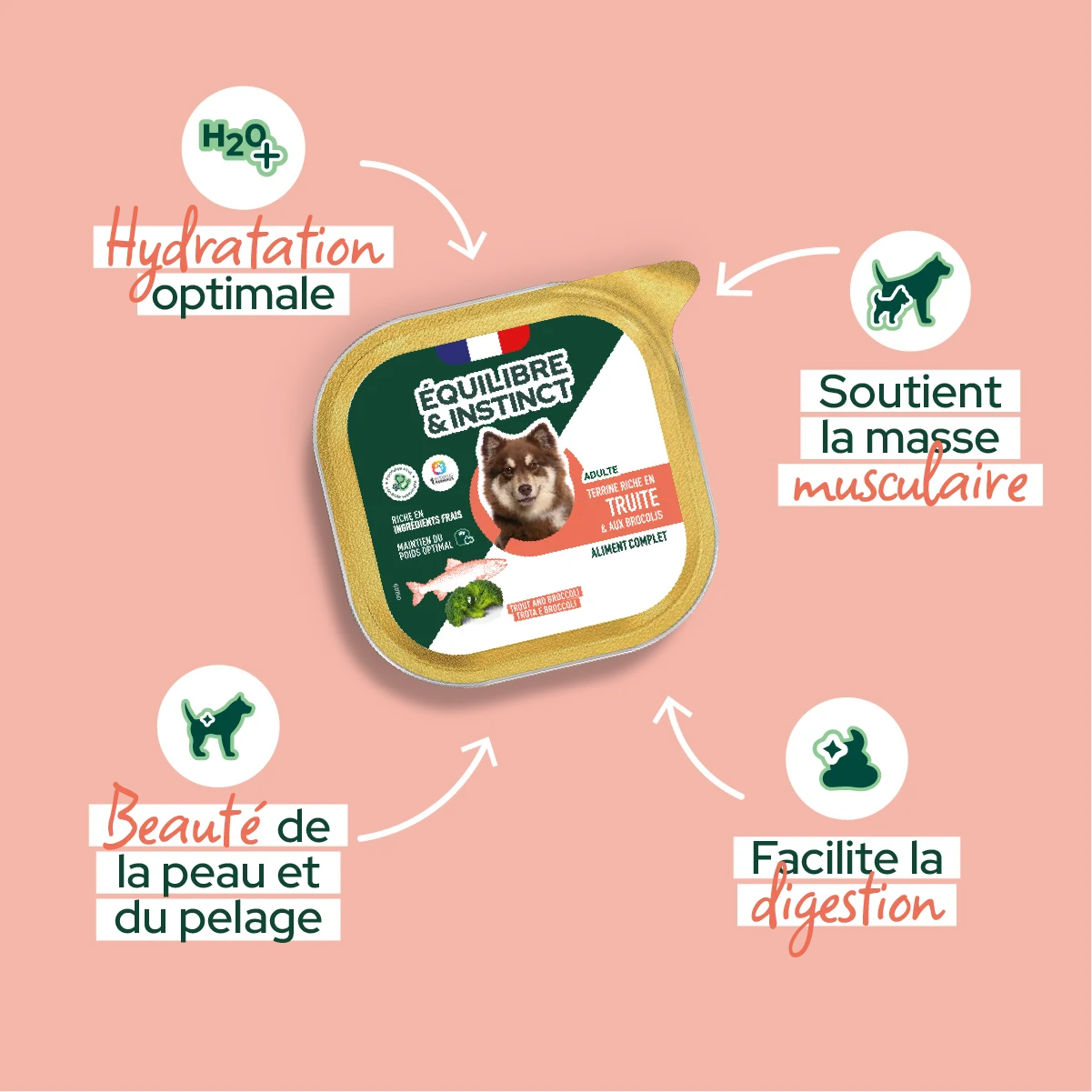 Pâtées riches en truite & aux brocolis (Chien adulte)