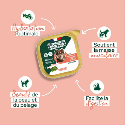 Pâtées riches en truite & aux brocolis (Chien adulte)