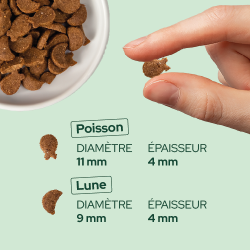 Friandises riches en saumon (Chat adulte)