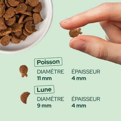 Friandises riches en saumon (Chat adulte)