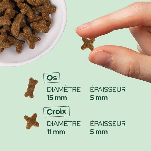 Friandises riches en volaille (chien adulte)