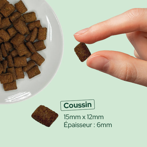 Friandises à la citrouille et aux protéines d'insectes (Chien adulte)