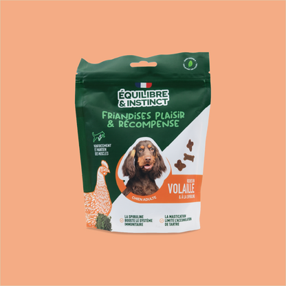 Friandises riches en volaille (Chien adulte)