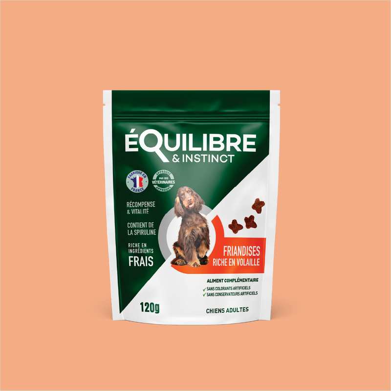 Friandises riches en volaille (Chien adulte)