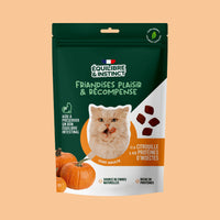 Friandises à la citrouille et aux protéines d'insectes (Chat adulte)