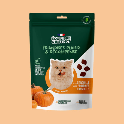 Friandises à la citrouille et aux protéines d'insectes (Chat adulte)