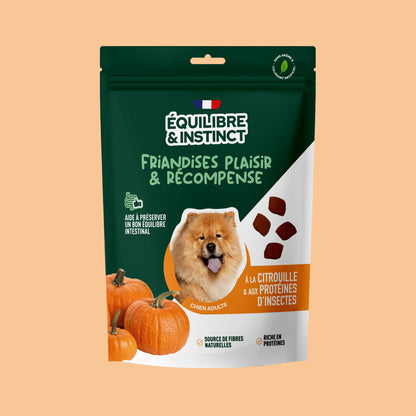Friandises à la citrouille et aux protéines d'insectes (Chien adulte)