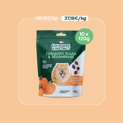 Friandises à la citrouille et aux protéines d'insectes (Chien adulte)