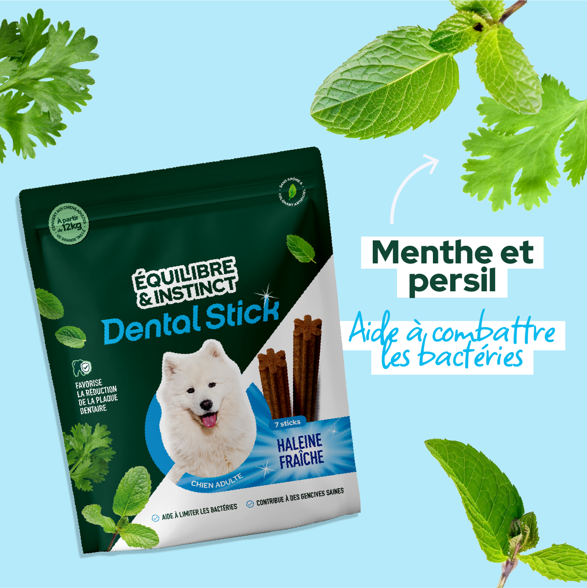 Stick dentaire Dental Stick - Moy. / Grande taille (Chien adulte)