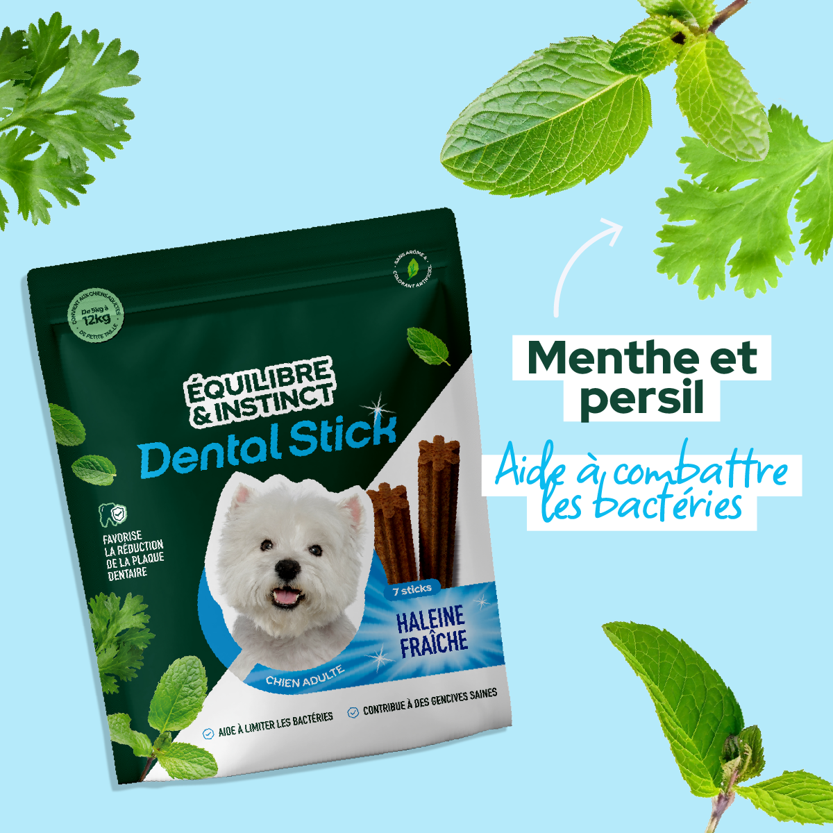 Stick dentaire Dental Stick - Petite taille (Chien adulte)