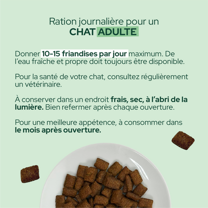 Friandises à la citrouille et aux protéines d'insectes (Chat adulte)