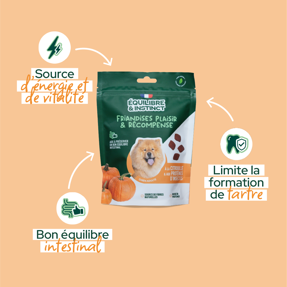 Friandises à la citrouille et aux protéines d'insectes (Chien adulte)