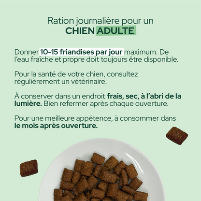 Friandises à la citrouille et aux protéines d'insectes (Chien adulte)