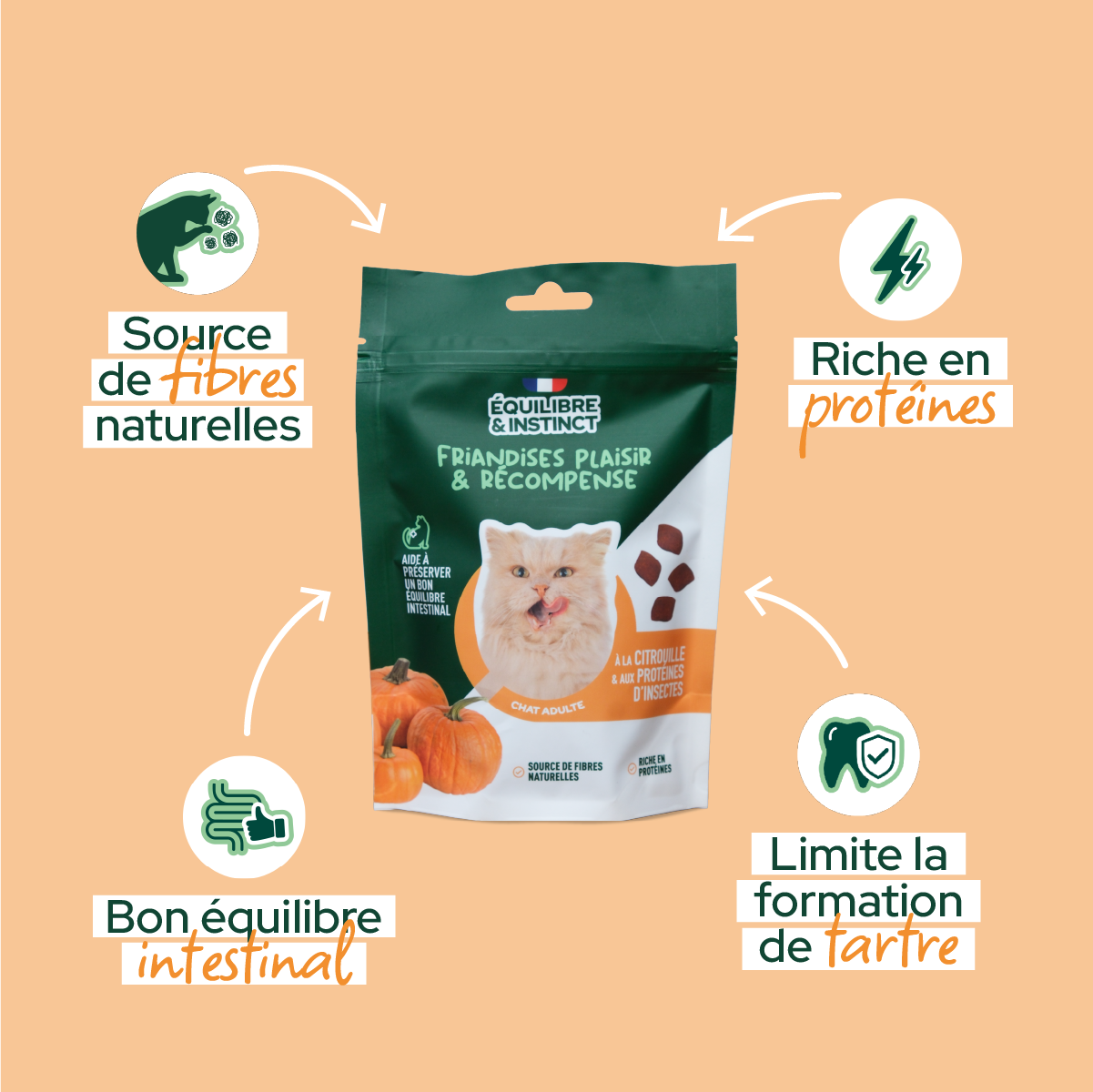 Friandises à la citrouille et aux protéines d'insectes (Chat adulte)