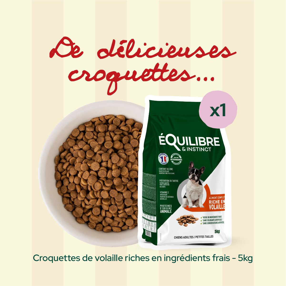 Pack 1er rendez-vous - Petite taille (chien adulte)