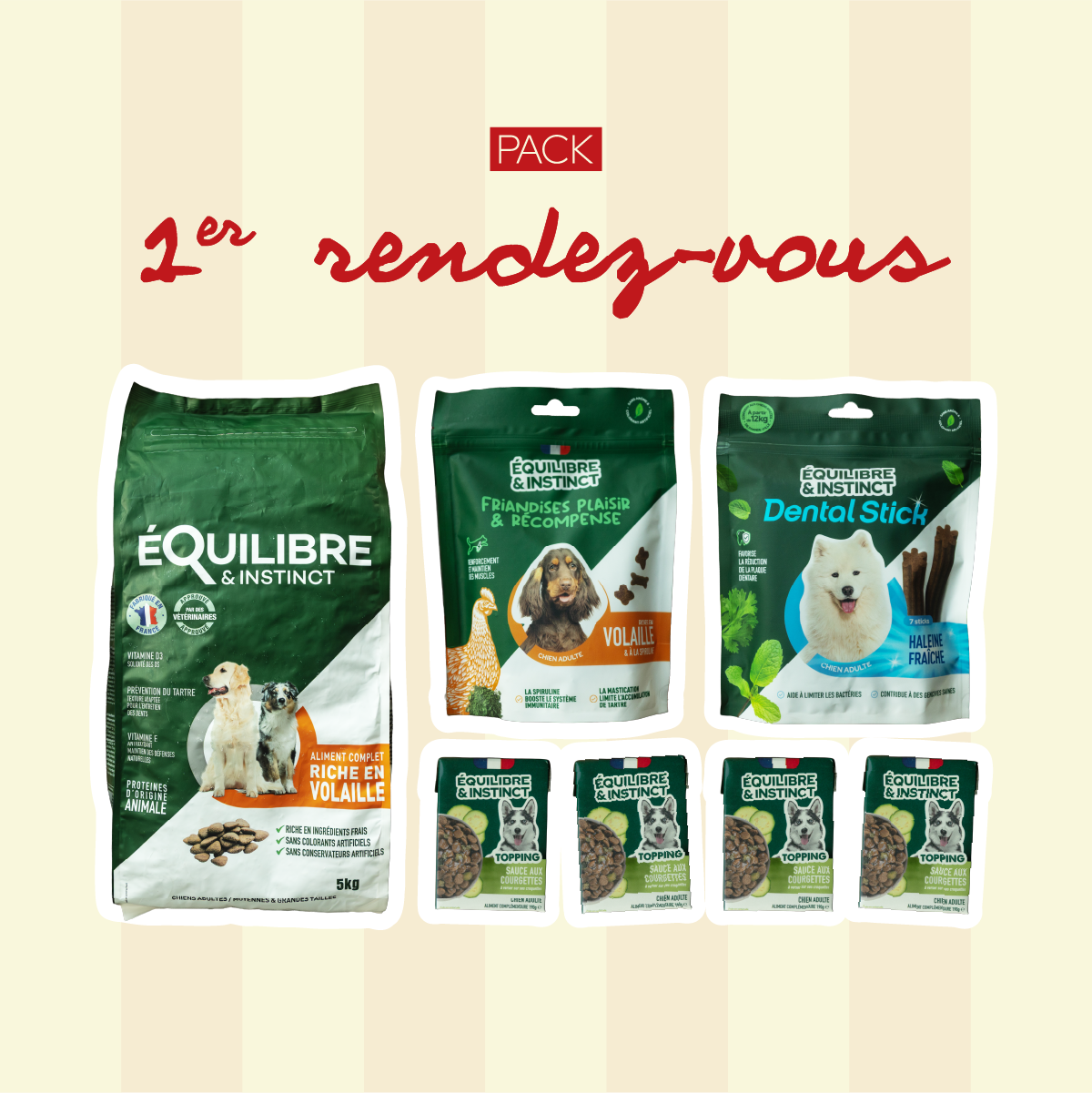 Pack 1er rendez-vous - Moy. / Grande taille (chien adulte)