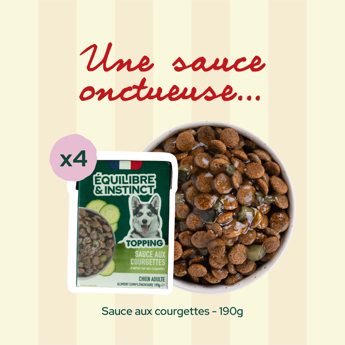 Pack 1er rendez-vous - Moy. / Grande taille (chien adulte)