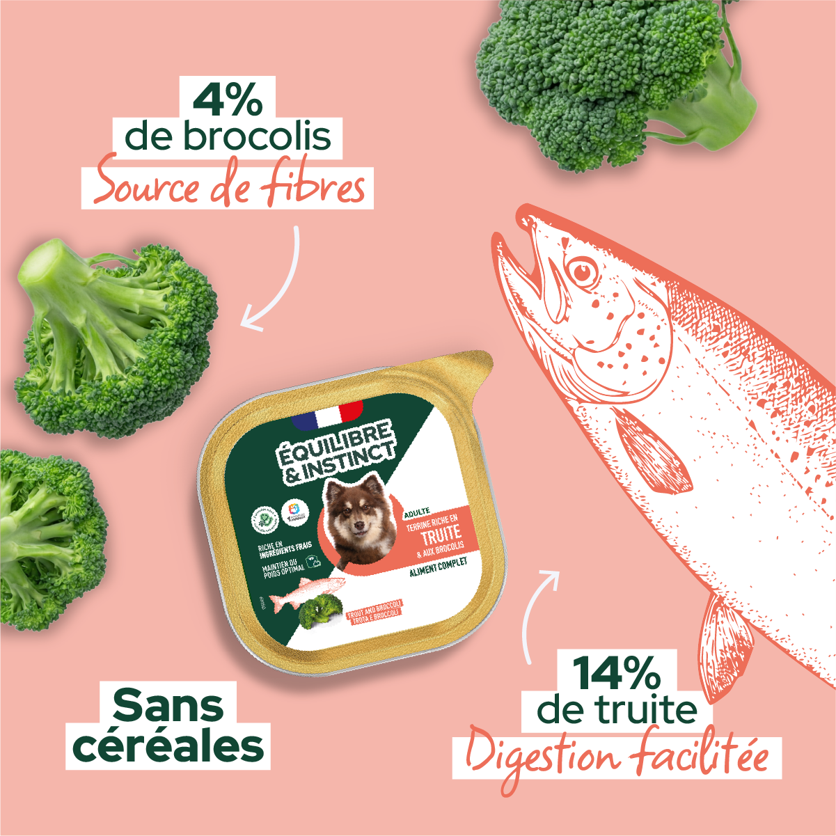 Pâtées riches en truite & aux brocolis (Chien adulte)