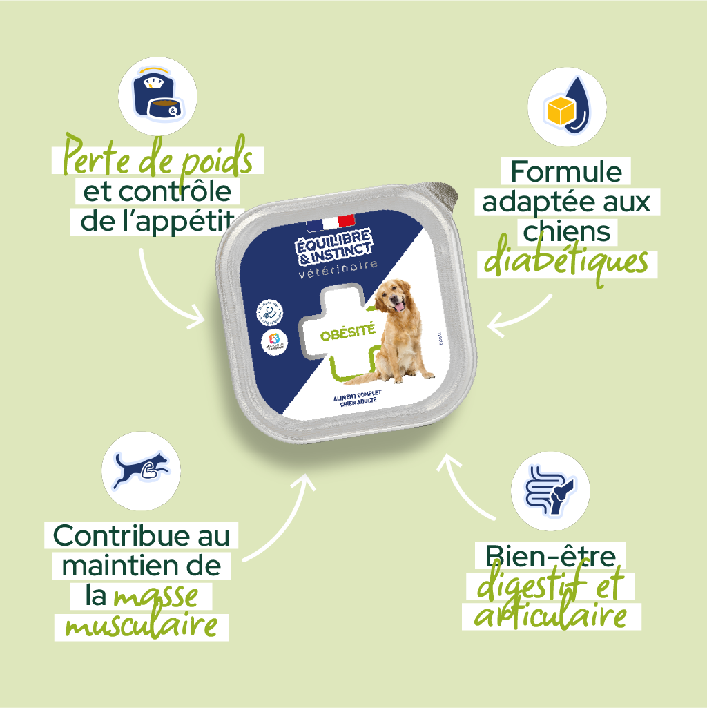 Pâtées diététiques "Obésité" (Chien adulte)