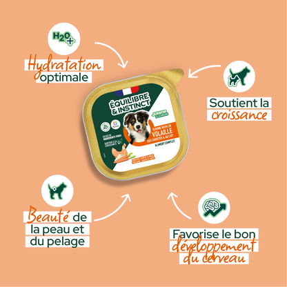 Pâtées riches en volaille & aux carottes - Moy. / Grande taille (Chiot)