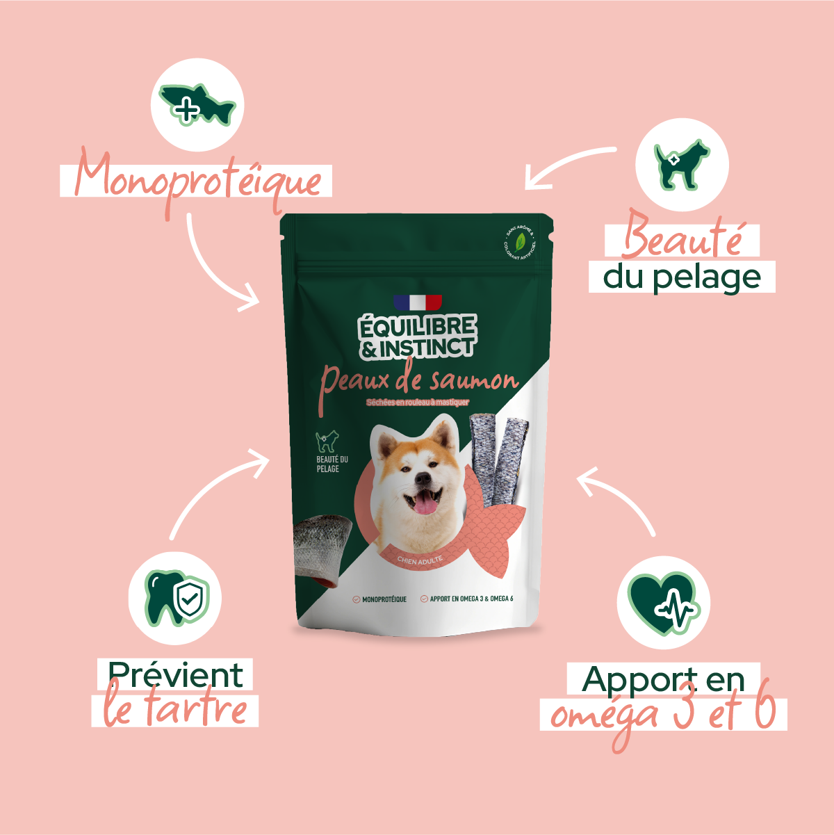 Friandises peaux de saumon (Chien adulte)